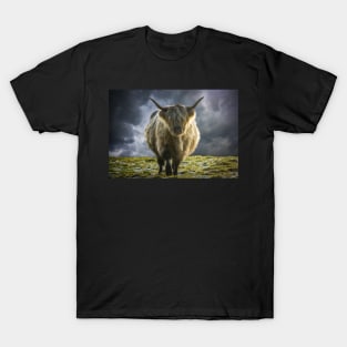 Scottish Highland Cow In The Winter Sun T-Shirt